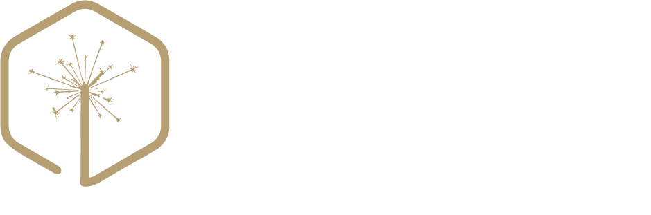 Online Event Box